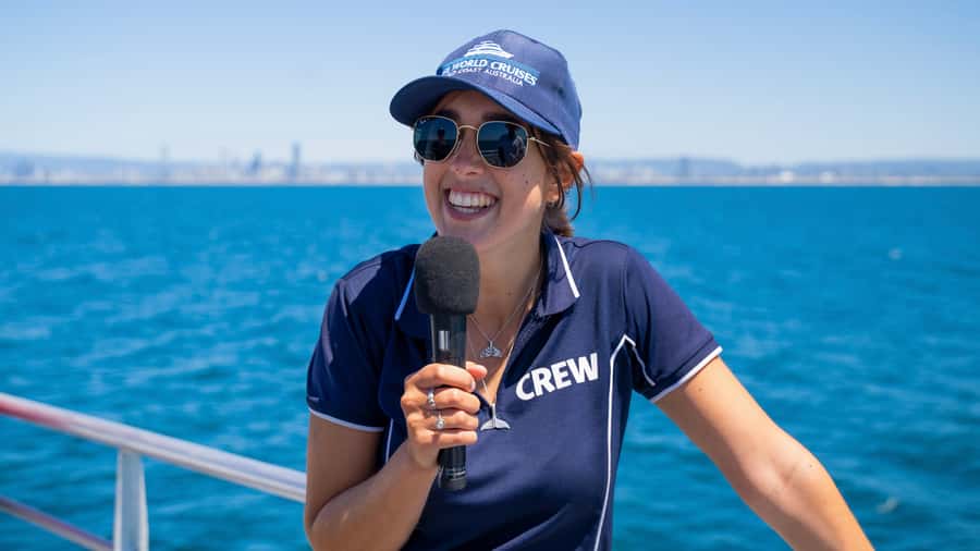 Gold Coast: Premium Whale Watching Cruise - Is $63 a fair price?