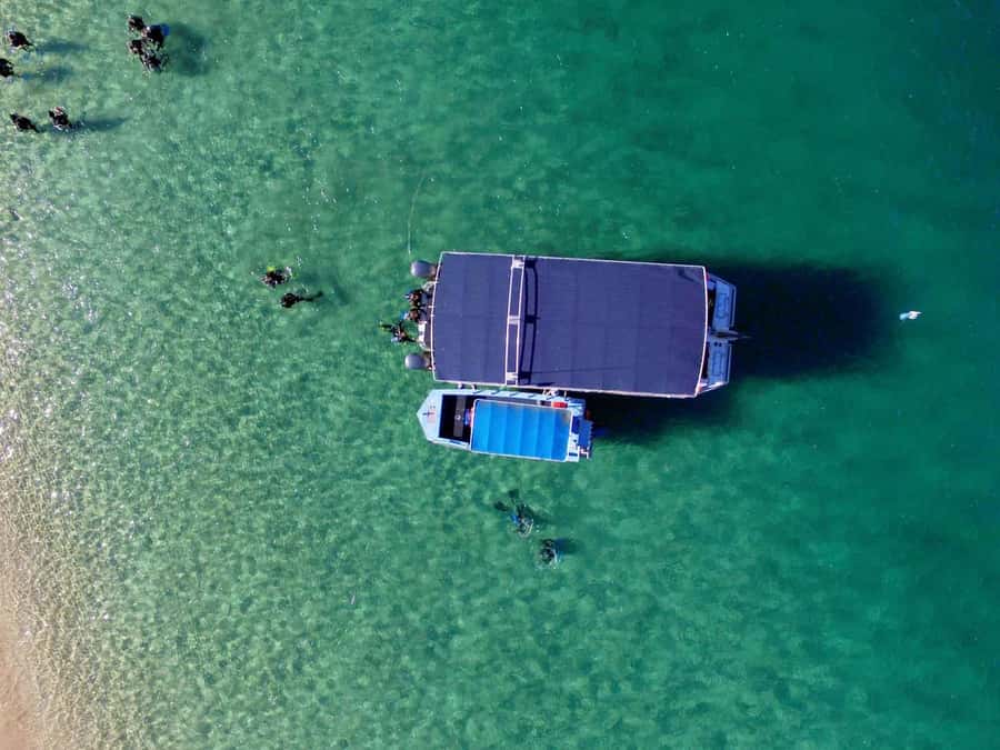 Gold Coast: Snorkelling in Wave Break Island - Key points before you book