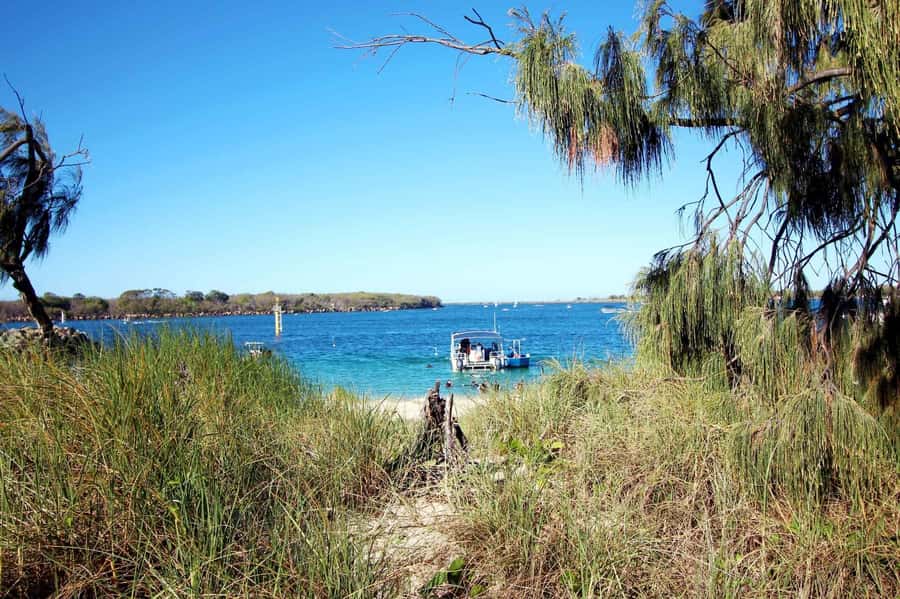 Gold Coast: Snorkelling in Wave Break Island - Why Wave Break Island works for first-time snorkellers