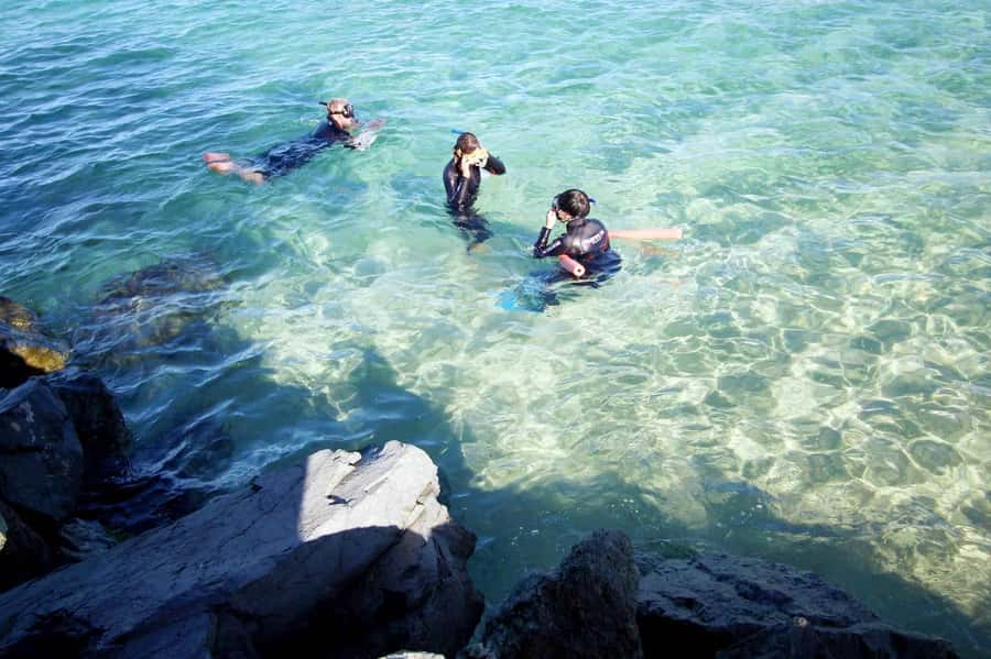 Gold Coast: Snorkelling in Wave Break Island - What happens once you reach Wave Break Island