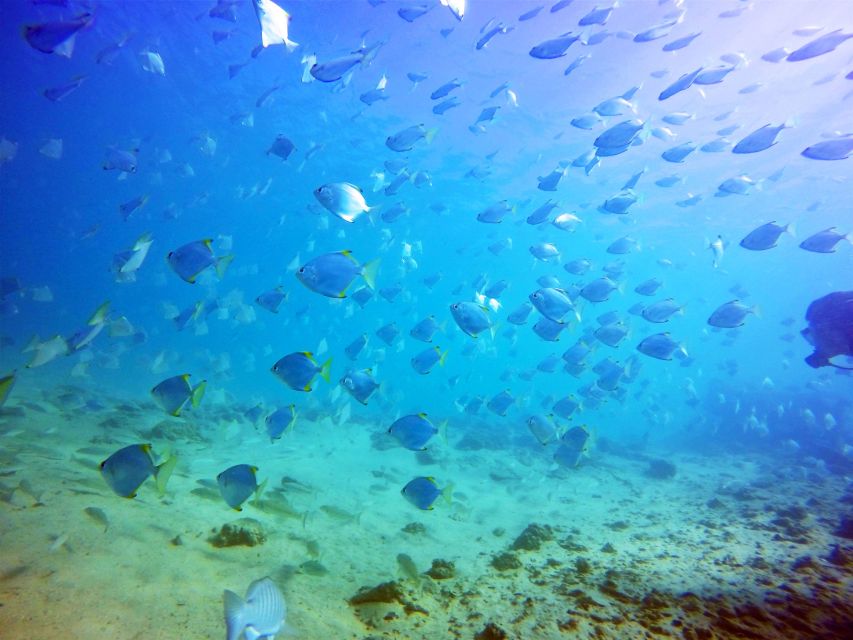Gold Coast: Snorkelling in Wave Break Island - How much time you really get in the water
