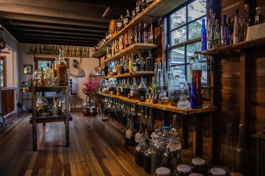 Gold Coast: Tamborine Mountain Local Winery Tour with Lunch - Hampton Estate Winery and the included lunch