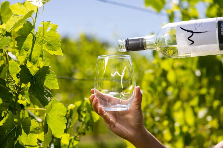 Gold Coast: Tamborine Mountain Local Winery Tour with Lunch - Weather, closures, and changing venues
