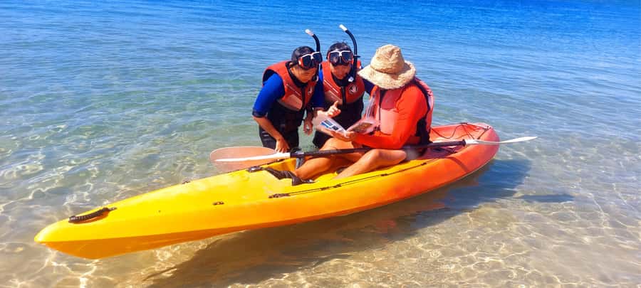 Gold Coast: Wave Break Island Kayaking & Snorkeling tour - Wave Break Island and its unusual story