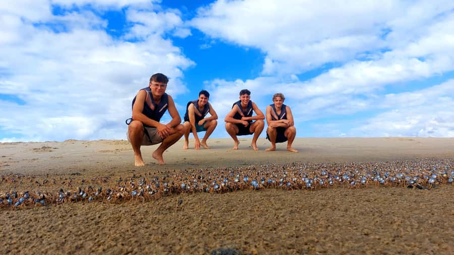 Gold Coast: Wave Break Island Kayaking & Snorkeling tour - The paddle back to Biggera Waters
