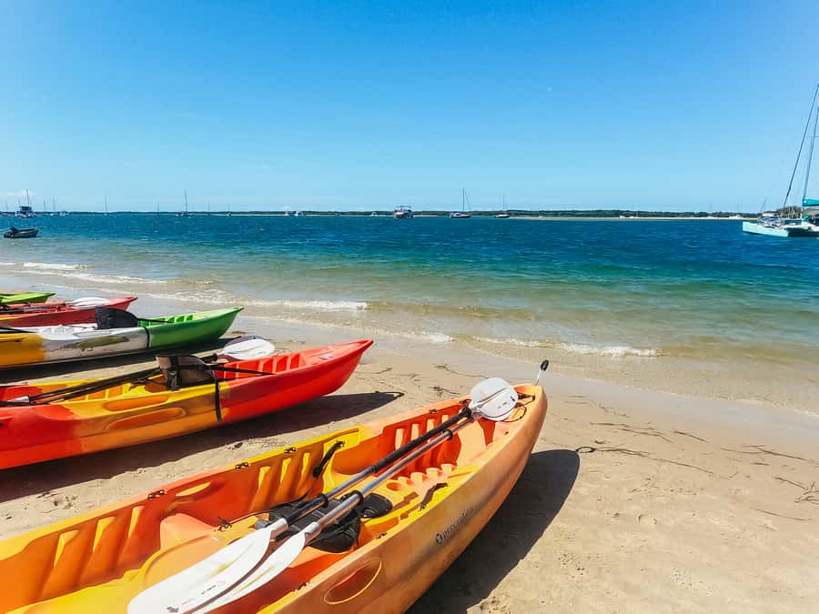Gold Coast: Wave Break Island Kayaking & Snorkeling tour - Who should book this experience?