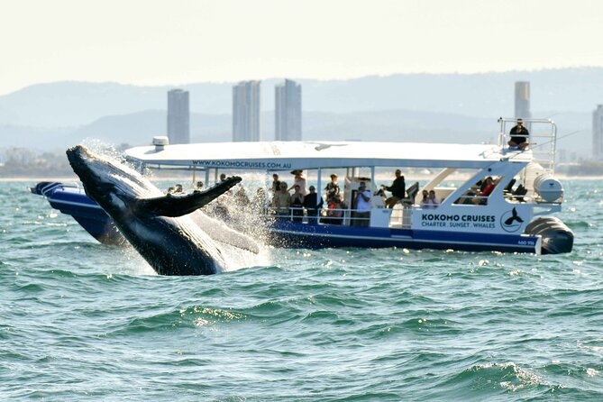 Gold Coast Whale Watching Cruise - Setting Out From Main Beach