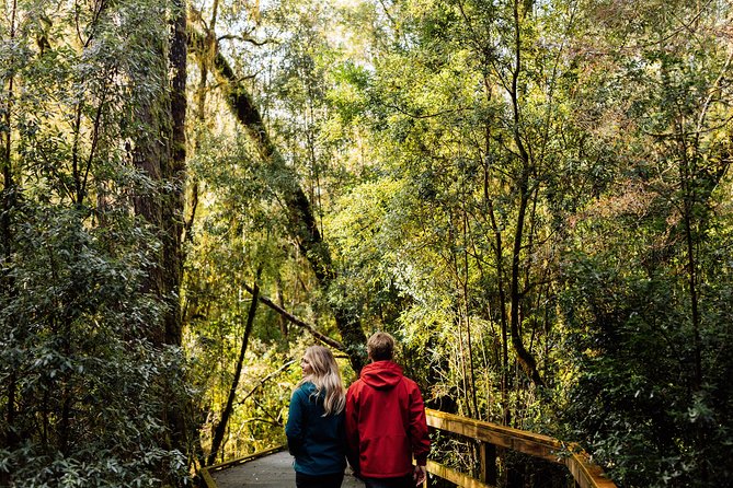 Gordon River Cruise departing from Strahan - Sarah Island and Tasmania’s Convict Past
