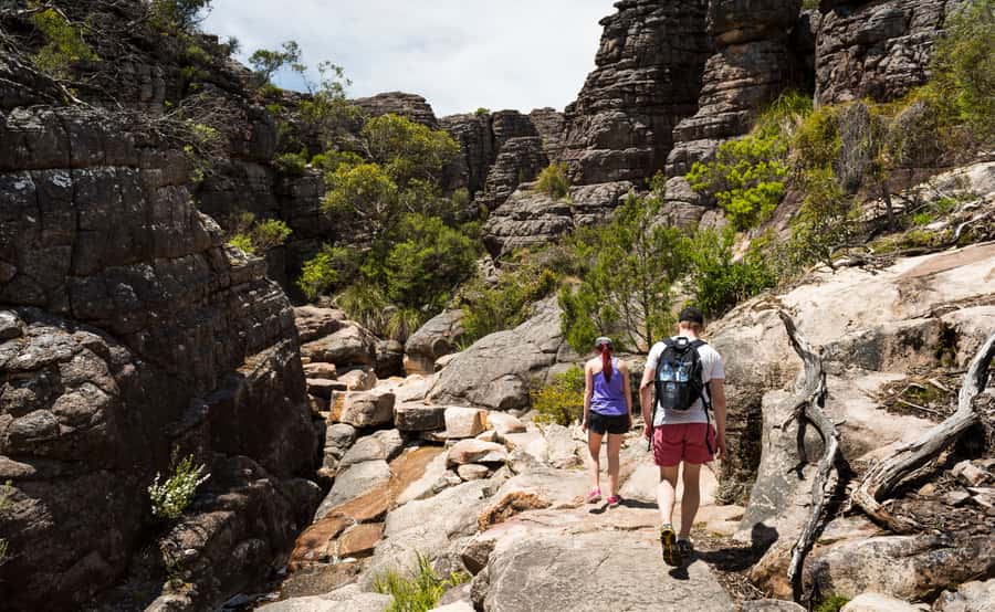 Grampians National Park Small-Group Eco Day Tour - Key points to know before booking