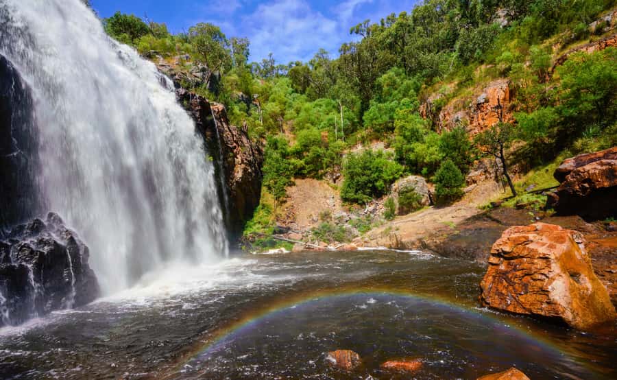Grampians National Park Small-Group Eco Day Tour - Why this is a practical way to see the Grampians