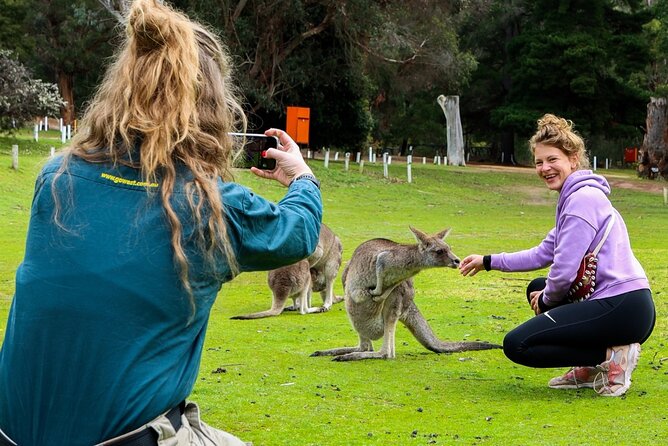 Grampians National Park Small-Group Eco Tour from Melbourne - Grand Canyon circuit and Wonderland Loop