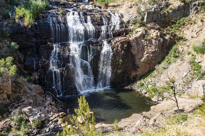 Grampians National Park with MacKenzie Falls and Kangaroos - Key points before you book