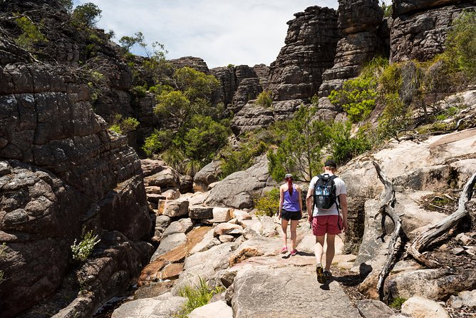 Grampians National Park with MacKenzie Falls and Kangaroos - What the guides add to the day