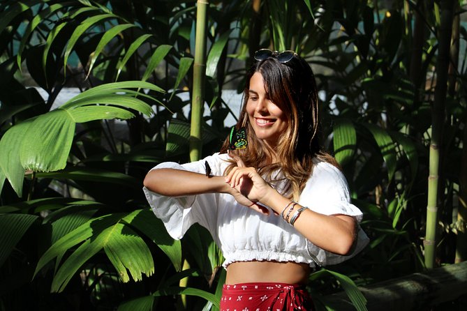 Grand Kuranda including Skyrail and Kuranda Scenic Railway - Inside the Australian Butterfly Sanctuary