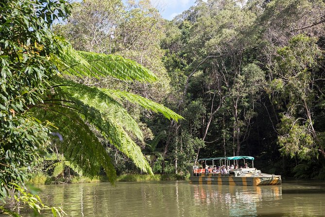 Grand Kuranda including Skyrail and Kuranda Scenic Railway - The Pamagirri Aboriginal Experience