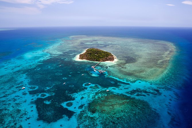 Great Barrier Reef 40 Minute Scenic Flight from Cairns - Reef Hopper - Why seeing the reef from the air matters
