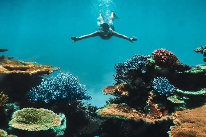 Great Barrier Reef Cruise from Townsville or Magnetic Island - Choosing between Townsville and Magnetic Island