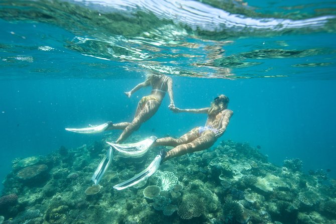 Great Barrier Reef Cruise from Townsville or Magnetic Island - Two certified scuba sessions for experienced divers