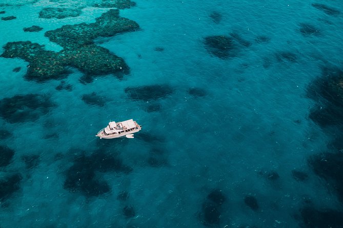 Great Barrier Reef Cruise from Townsville or Magnetic Island - Why the 10-hour schedule matters