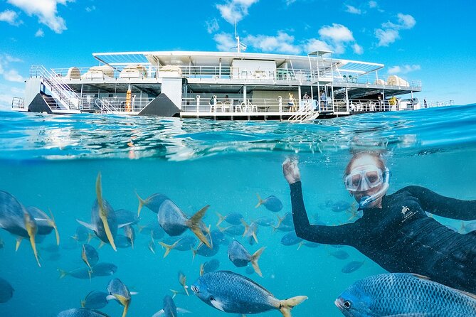 Great Barrier Reef Full Day Adventure - The Whitsunday Islands crossing