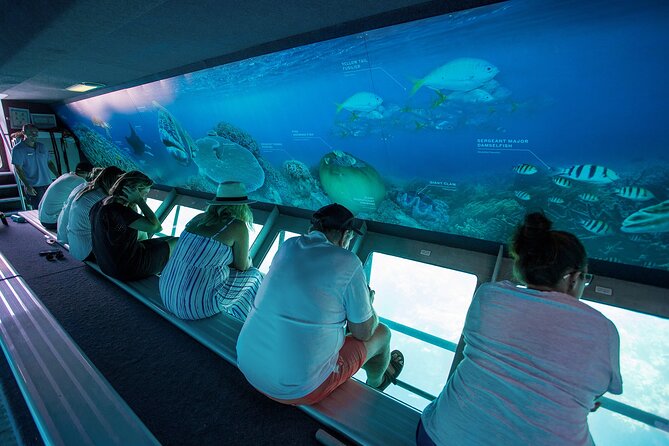 Great Barrier Reef Full Day Adventure - Morning tea, buffet lunch, and afternoon tea
