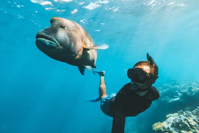 Great Barrier Reef Full Day Adventure - Is the $200.11 fare good value?