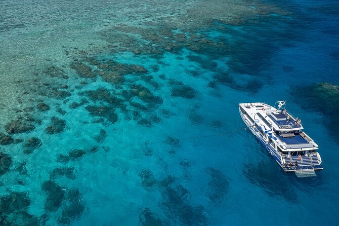 Great Barrier Reef Full Day Tour from Cairns - Leaving Cairns at 8:00 am