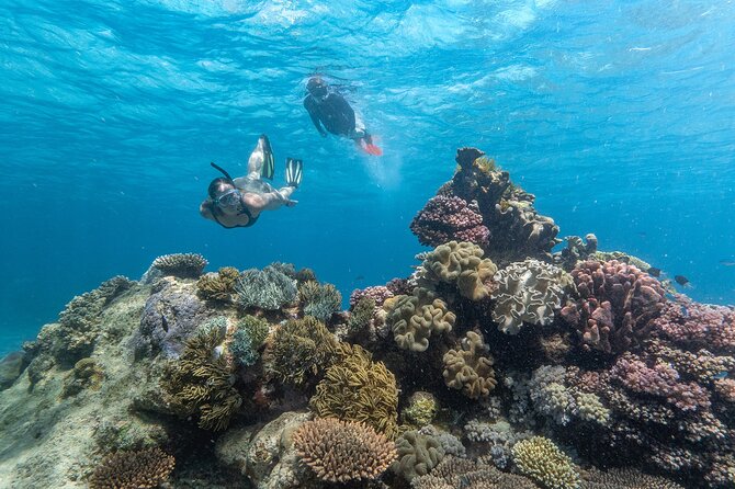 Great Barrier Reef Full Day Tour from Cairns - Two reef sites, not one quick swim