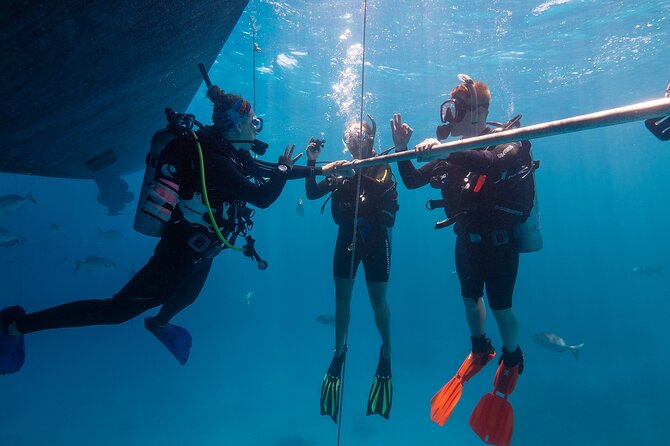 Great Barrier Reef Full Day Tour from Cairns - Snorkeling for first-timers and nervous swimmers