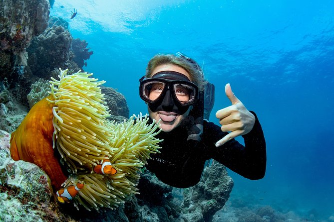 Great Barrier Reef Full Day Tour from Cairns - Certified scuba and the rules that matter