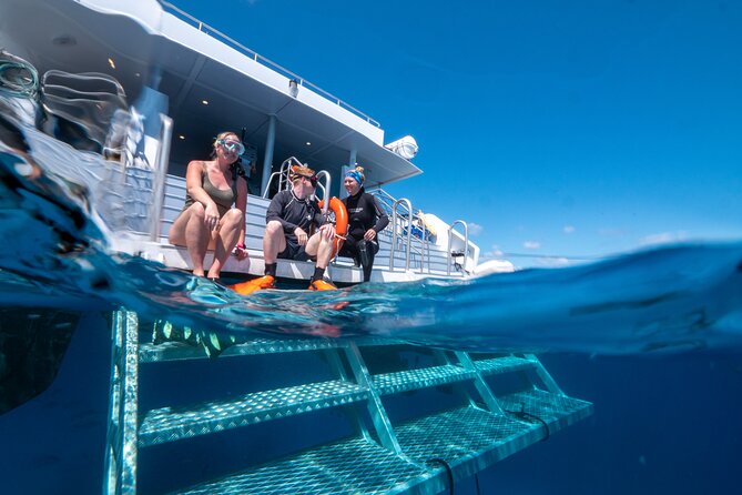 Great Barrier Reef Full Day Tour from Cairns - Buffet lunch and refreshments