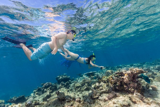 Great Barrier Reef Snorkeling and Diving Cruise from Cairns - The helicopter option gives the reef a different scale