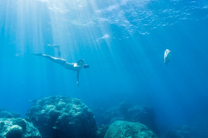 Great Barrier Reef Snorkeling and Diving Cruise from Cairns - The ride home includes a pleasant finish