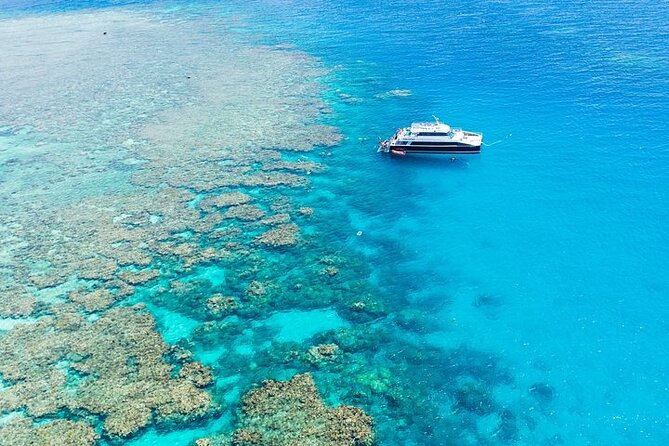 Great Barrier Reef with Cultural Guides-Dreamtime Dive & Snorkel - Why this reef trip feels different