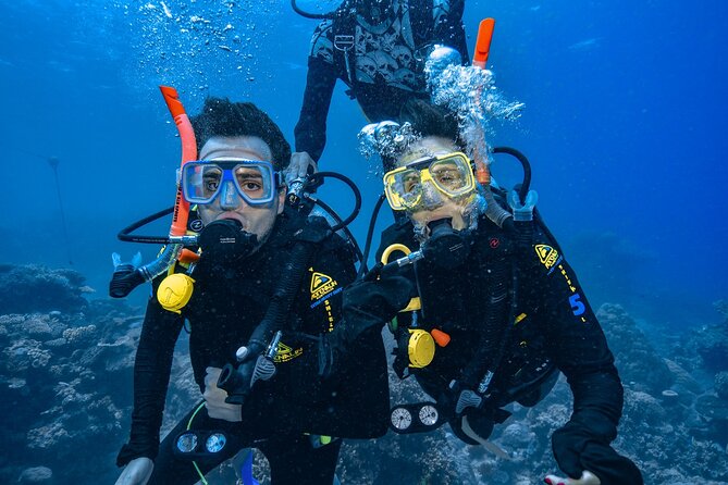 Great Barrier Reef with Cultural Guides-Dreamtime Dive & Snorkel - Meals, equipment, and boat comfort