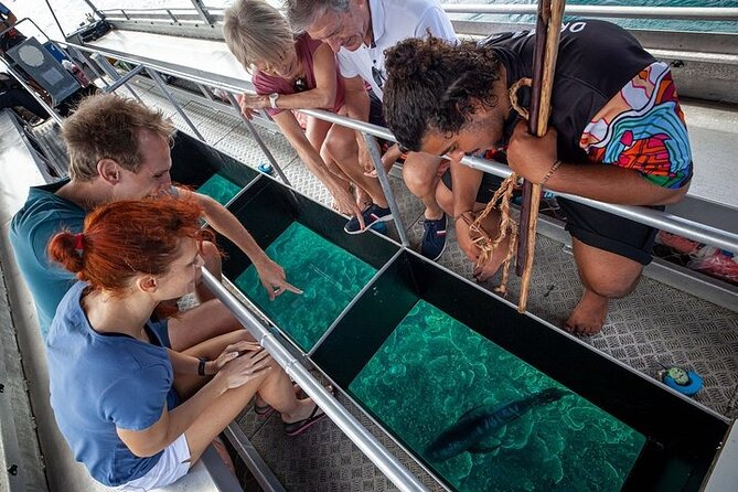 Great Barrier Reef with Cultural Guides-Dreamtime Dive & Snorkel - Who should book this experience?