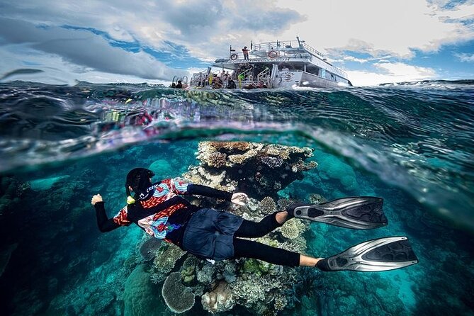 Great Barrier Reef with Cultural Guides-Dreamtime Dive & Snorkel - Leaving Cairns at 8:30 in the morning