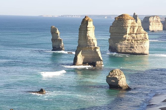 Great Ocean Road 12 Apostles kangaroo, koala and chocolate tour - Key points before you book