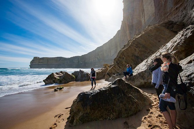Great Ocean Road, 12 Apostles, Loch Ard Gorge & lunch - Melbourne - Rainforest at Mait’s Rest or Melba Gully