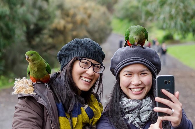 Great Ocean Road, 12 Apostles, Rainforest & Morning Tea-Melbourne - The Twelve Apostles, the day’s headline sight