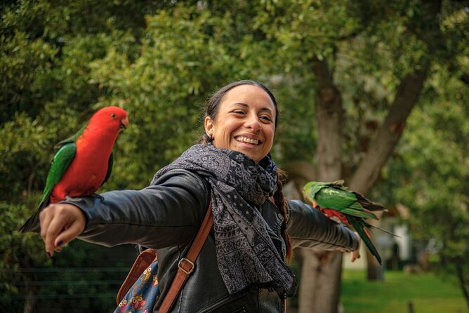 Great Ocean Road Full-Day Sunset Eco Tour from Melbourne - Kennett River and wild koala spotting