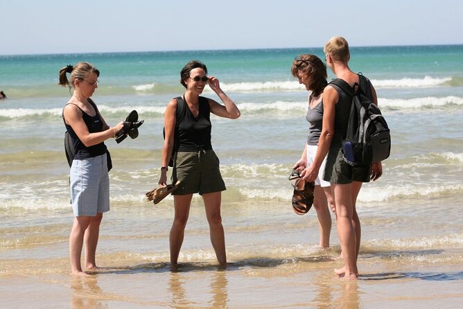 Great Ocean Road Full-Day Sunset Eco Tour from Melbourne - The Otway Ranges and the Shipwreck Coast