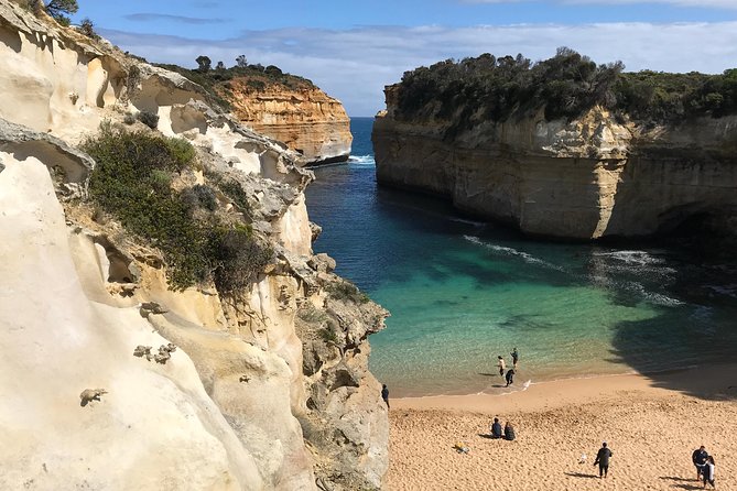 Great Ocean Road Reverse Itinerary PREMIUM Tour - Max 11 Guests - The early run through Winchelsea