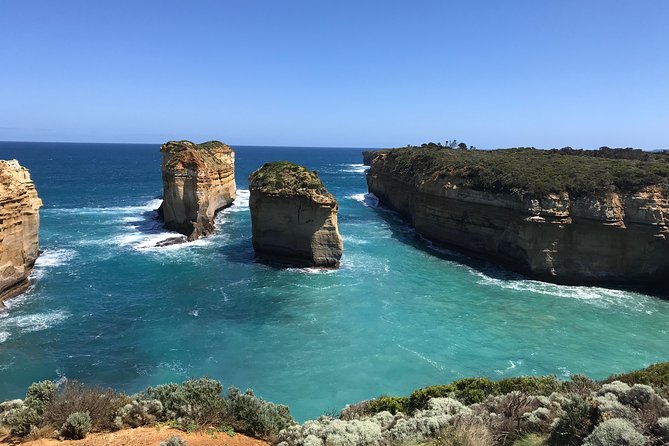 Great Ocean Road Reverse Itinerary PREMIUM Tour - Max 11 Guests - The drive through Great Otway National Park