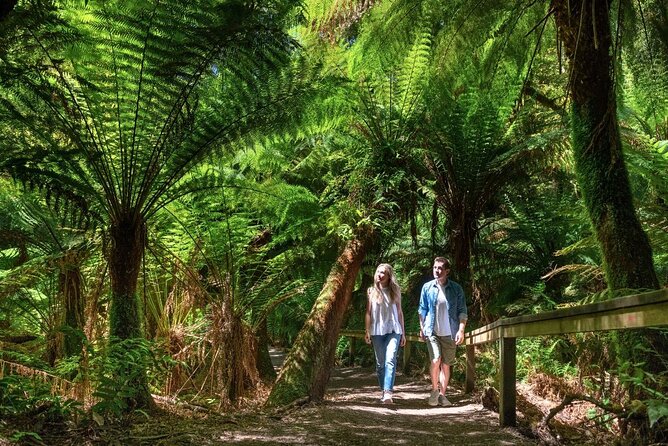 Great Ocean Road Small-Group Eco Tour from Melbourne - Apollo Bay gives you a useful lunch break