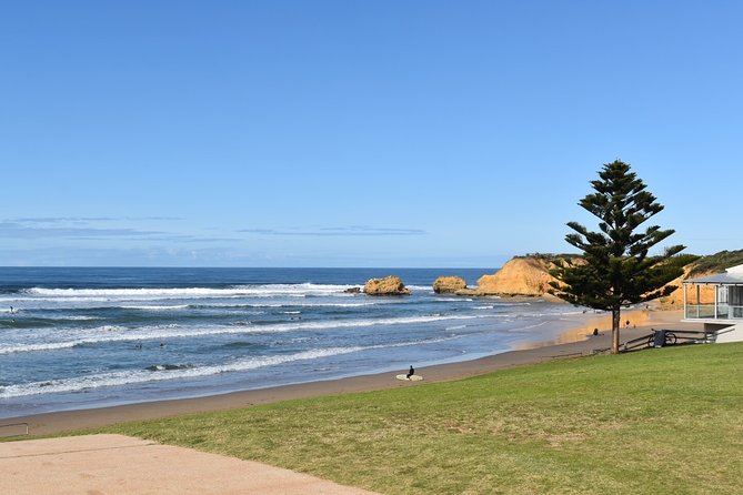 Great Ocean Road Tour Plus Koalas, Forest Walk and Morning Tea - Cape Patton, Apollo Bay, and time for lunch