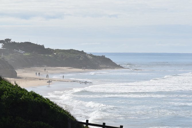 Great Ocean Road Tour Plus Koalas, Forest Walk and Morning Tea - Razorback, Island Arch, and Loch Ard Gorge