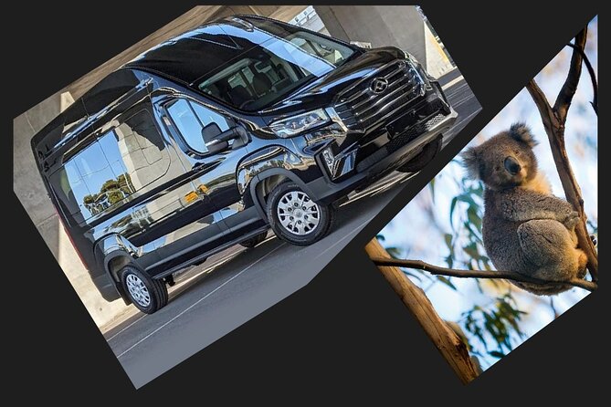 Great Ocean Road Tour Reverse –SML GRP-DLUX Mini Bus Hotel Pickup - Port Campbell National Park and the rainforest