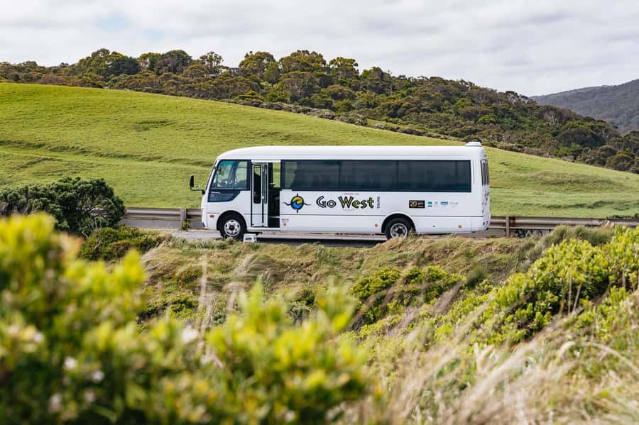 Great Ocean Road Tour w/ Deluxe Minibus & Top-Rated Guide - The coast from Eastern View to Apollo Bay