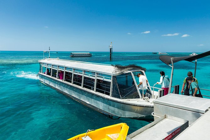 Green Island Day Trip from Cairns - Lunch, drinks, and the real cost